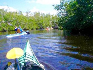 What to do in Orlando Kayak tours