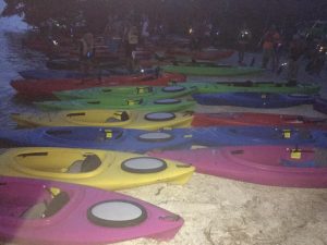 Bioluminescent Kayaking Tour Kayaks