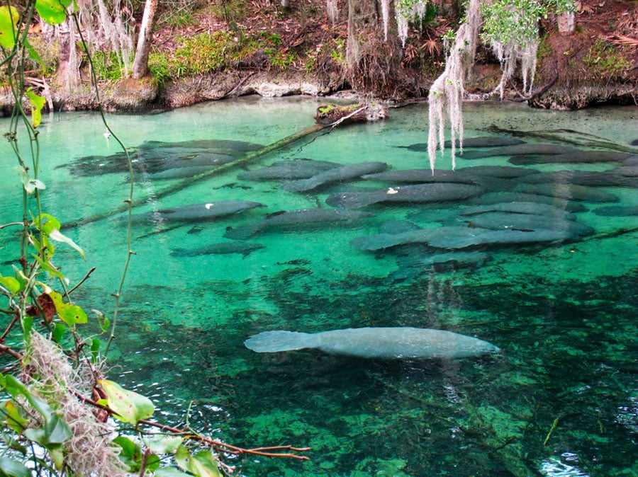 Top 10 Reasons Why We Love Summer in Florida!