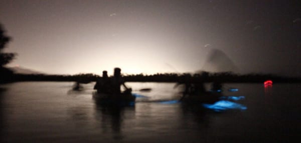 Florida Bioluminescence Kayaking and Ecotours