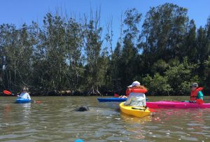 guest with manatee indian river
