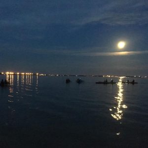 kayaking bioluminescence bioluminescent titusville