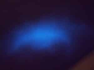 bioluminescence glow in the dark