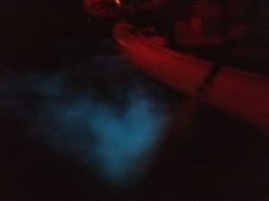 Bioluminescent Kayak Tour Bk Adventure Florida