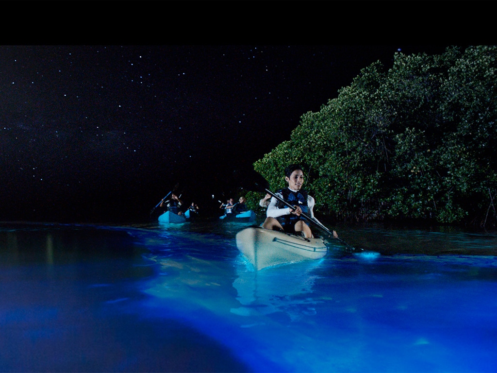 bioluminescent kayak tour titusville fl
