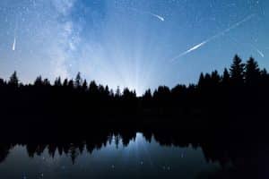 Perseid Meteor SHower Florida Bioluminescence