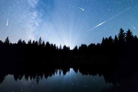 Perseid Meteor Shower Florida Bioluminescence