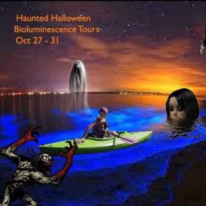 Halloween Event Haunted Bioluminescence Tours in Florida