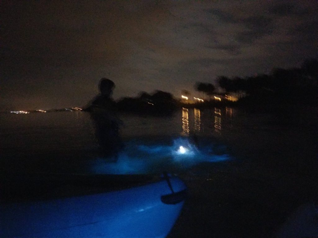 Boy in bioluminous water Florida