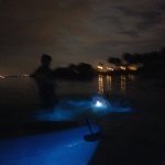 Boy in bioluminous water Florida