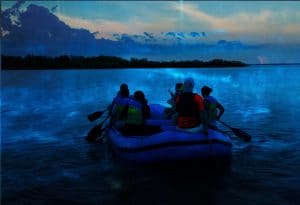 Rafting Bioluminescence tour