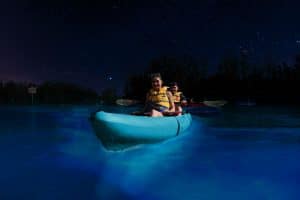 Haulover Canal Bioluminescent Kayaking