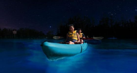 Rico Sun Tours Bioluminescence Rico Sun Tours Bioluminescence
