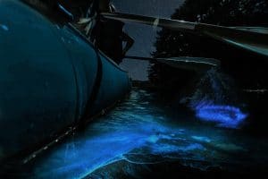 Bioluminescence Raft Tour Florida