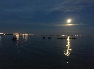 night kayaking tour bk adventure florida