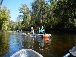 Eco-Friendly Tours In Florida