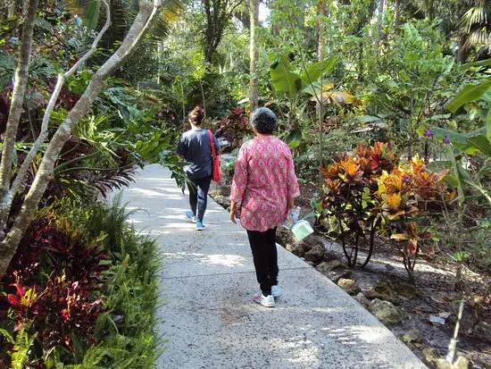 A group of people walk down a sidewalk surrounded by plants at the Harry P. Leu Gardens