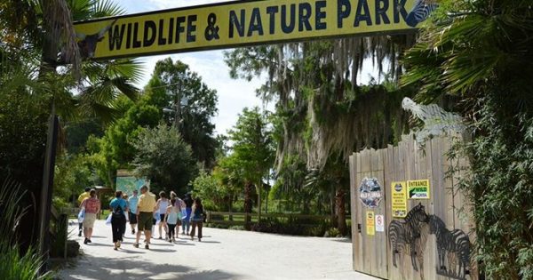 wildlife-park-wild-florida-1-