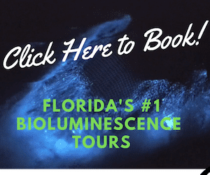 Book Bioluminescence Florida Kayaking Tours