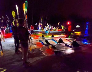Florida Clear Kayaking Bioluminescence Tour