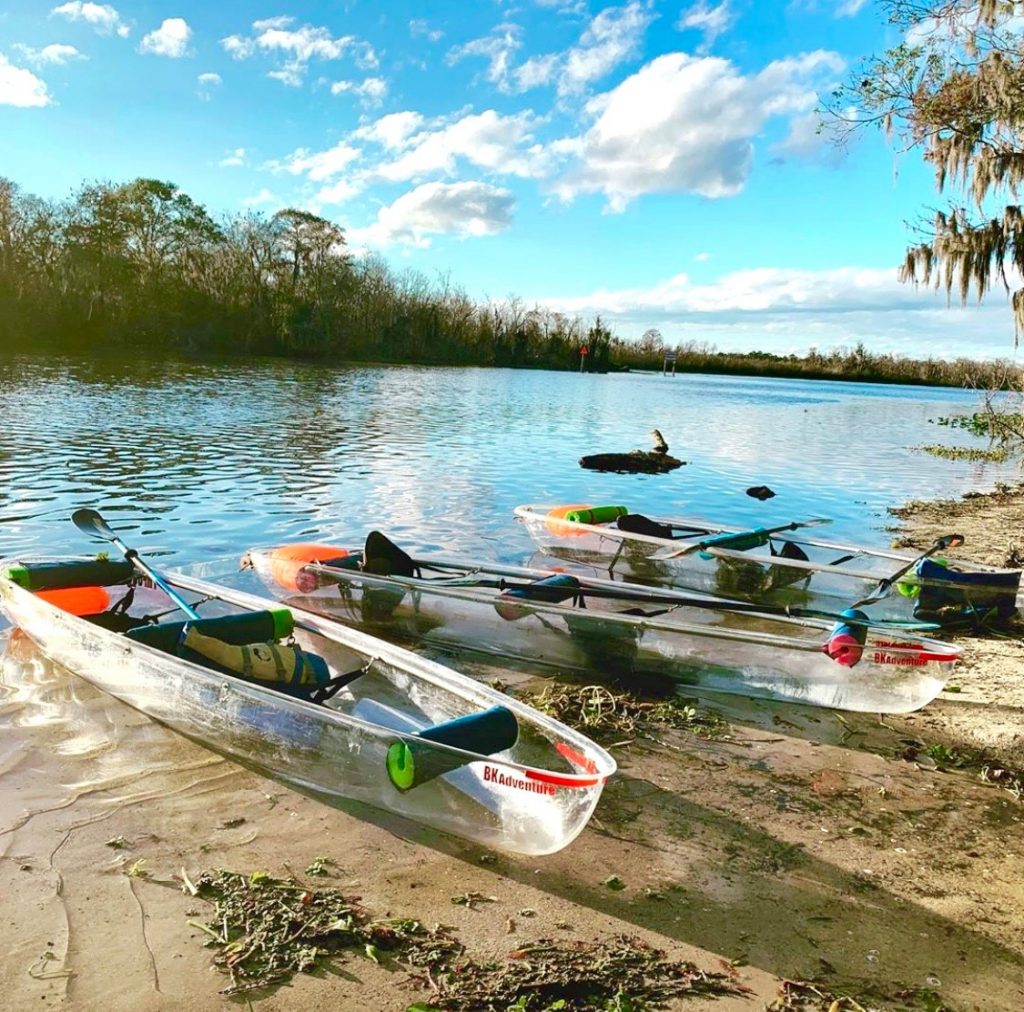 clear kayak tours florida