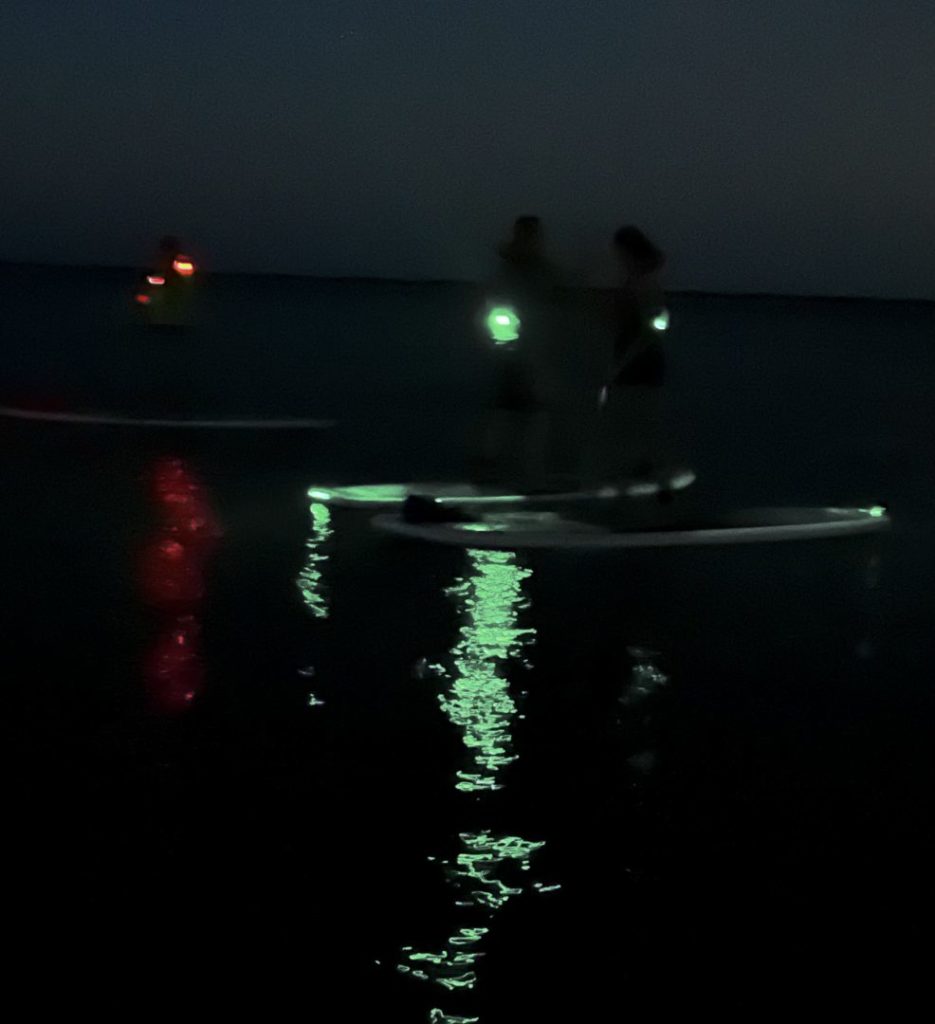 bioluminescent paddleboard tour bioluminescence