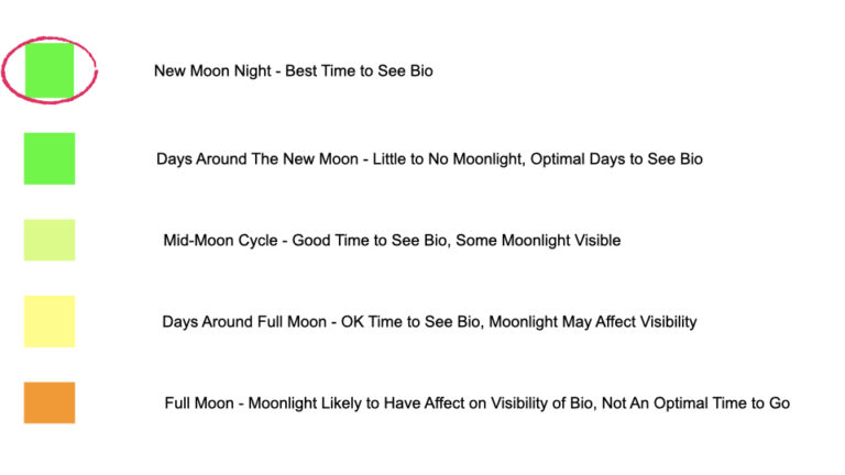 2022 Bioluminescence Moon Calendar