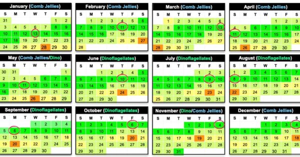 bioluminescence-moon-calendar-2021