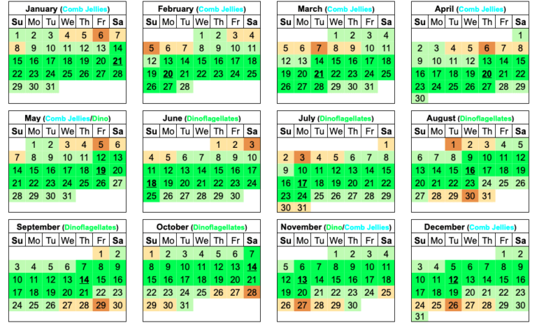 2023 Florida Bioluminescence Moon Calendar