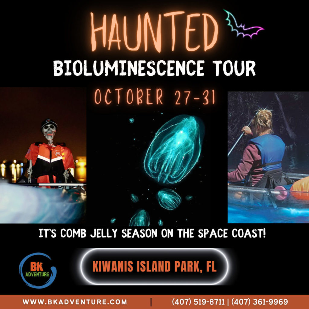 Haunted Halloween Bioluminescence Tour in Cocoa Beach