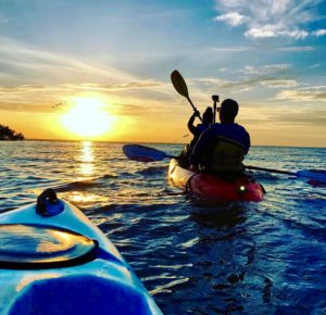 Sunset and bioluminescence tour in Cape Canaveral