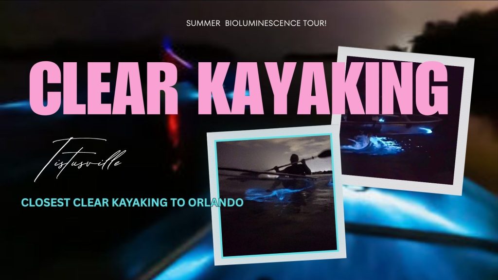 Clear Kayaking in Titusville Summer Bioluminescence Tour