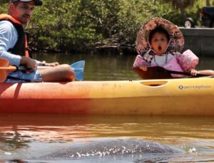 Family Manatee Viewing Tour