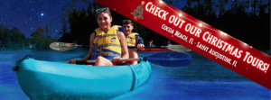 Unique Christmas gift and things to do in Florida this Holiday
