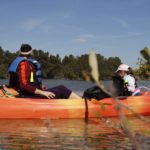 Kayakers relax in the sun, enjoying calm waters and scenic mangrove views.
