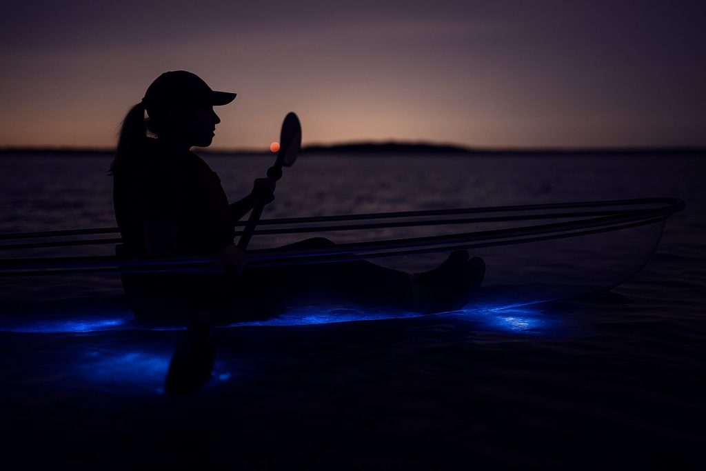 Woman kayaking in a clear kayak with glowing bioluminescent water beneath her at Merritt Island Wildlife Refuge, Florida