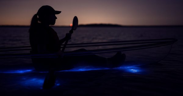 12 Unique Things to Do in Florida (Local Guide – 2026)