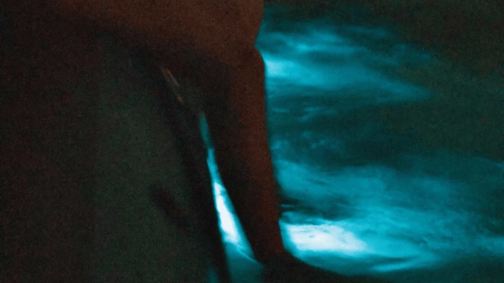 Child’s legs glowing in bioluminescent water during a family rafting tour in Florida