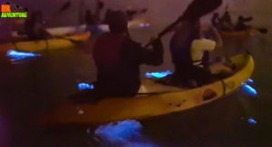 Kayakers paddle at night through glowing blue bioluminescent waters, creating trails of shimmering light.