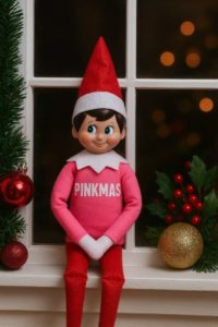 Elf on the Shelf Character Tour St. Augustine Nights of Lights
