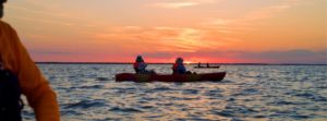 Guests during our Sunset - Bioluminescence Excursion at Merritt Island National Wildlife Refuge, Florida