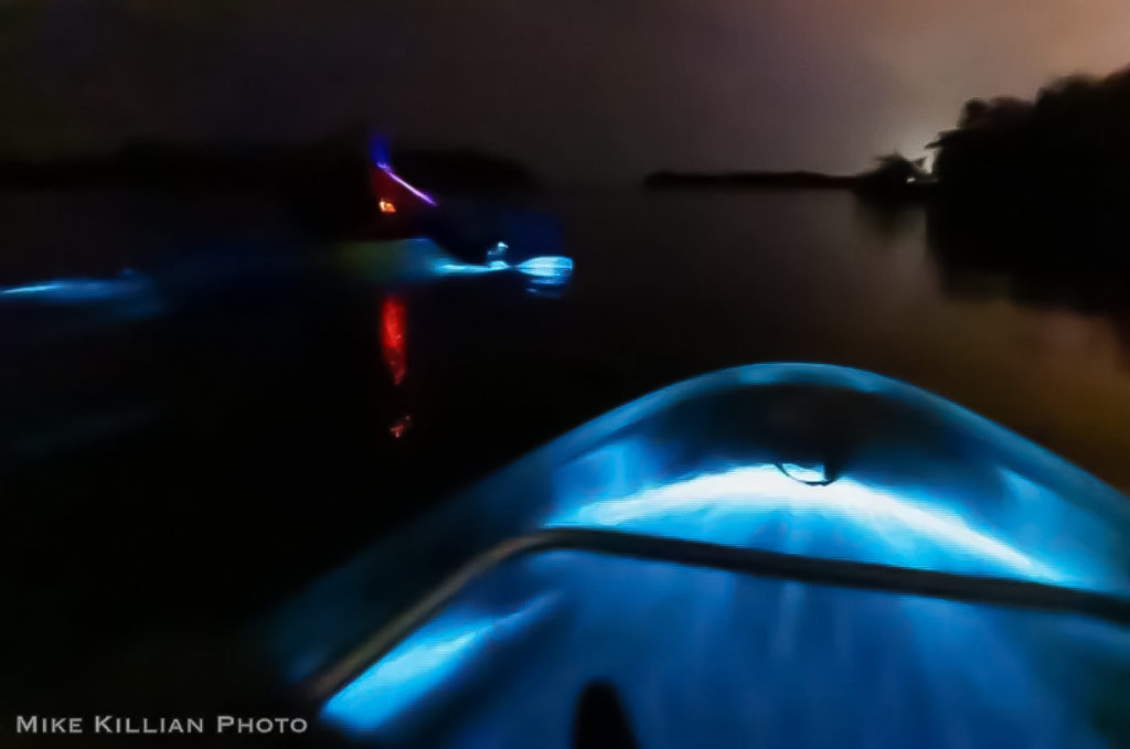 Clear Kayaking bioluminescence tour near Orlando