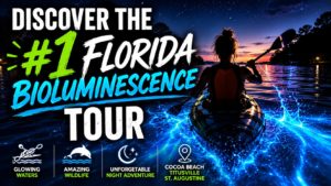 Discover Florida's #1 Bioluminescence Tour