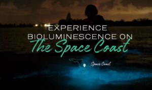 Video - Experience Florida Bioluminescence on the Space Coast