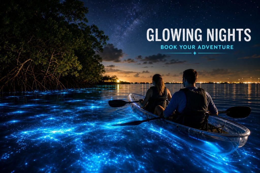 Florida Bioluminescence Tours - How To Book