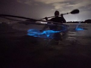 Clear Kayaking tour near Orlando at Titusville with BK Adventure Bioluminescence Tours