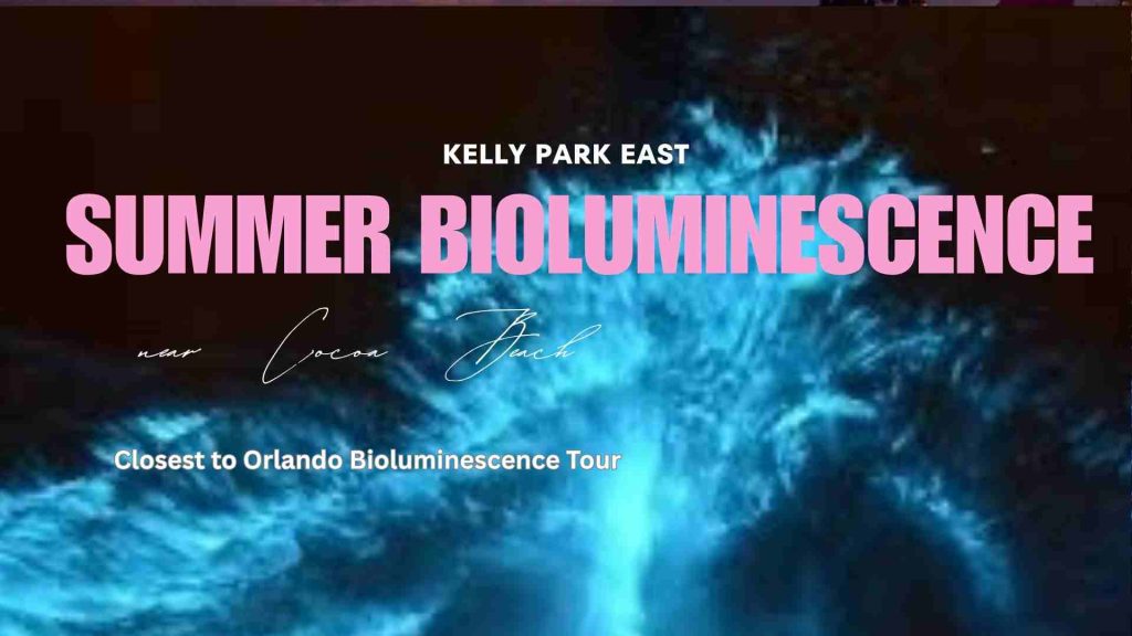 Bioluminescence closest to Orlando at Kelly Park East - Cocoa Beach Area
