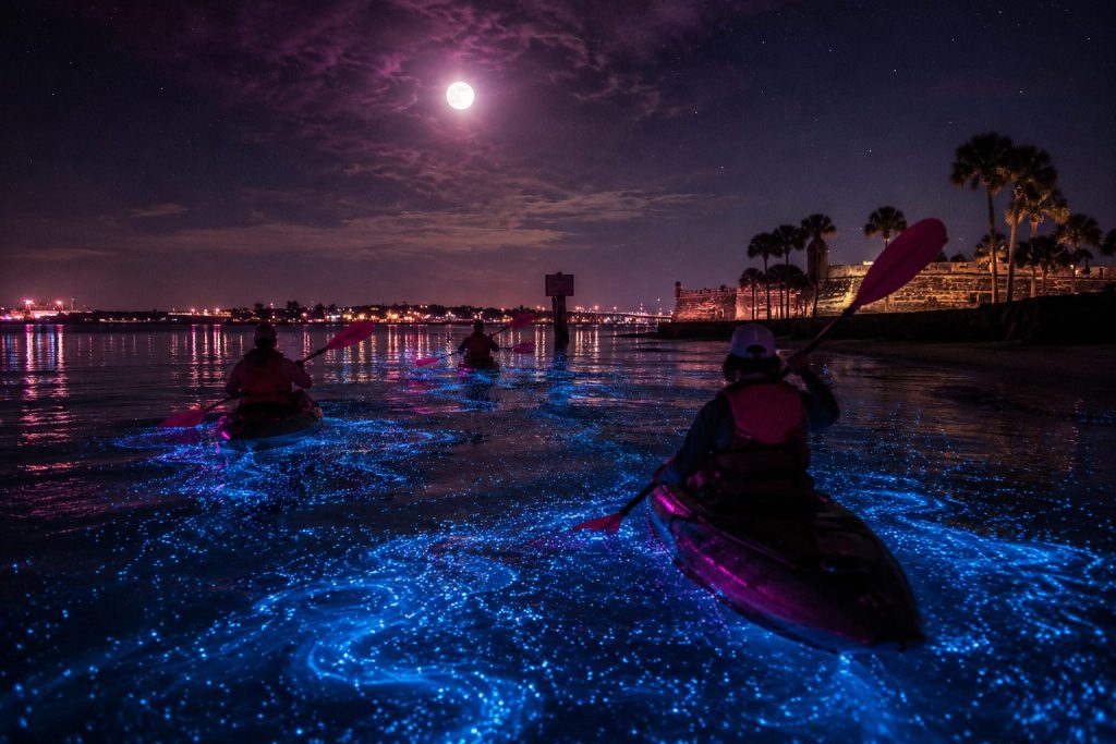 Late night bioluminescent kayaking in St. Augustine