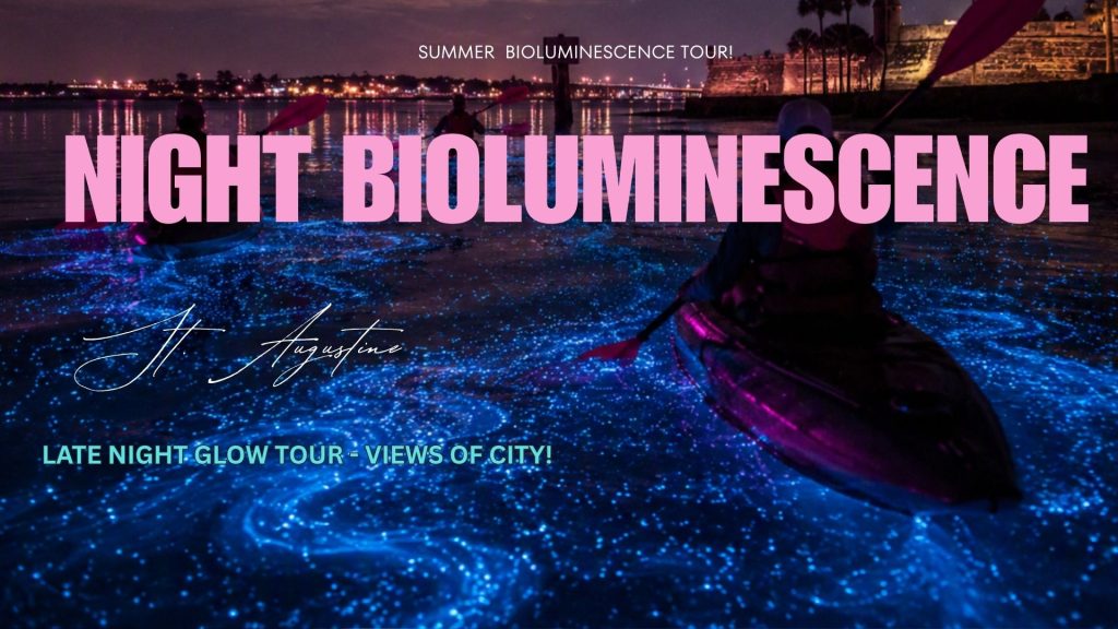 St. Augustine Bioluminescence only - late night tour